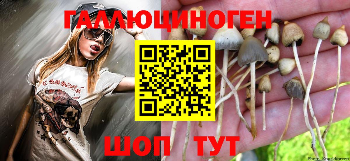 Алушта  Псилоцибиновые грибы ЛСД  цены   Вход с VPN 